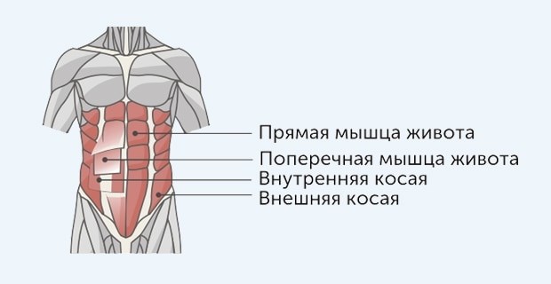 За сколько времени можно накачать пресс до кубиков мужчине?