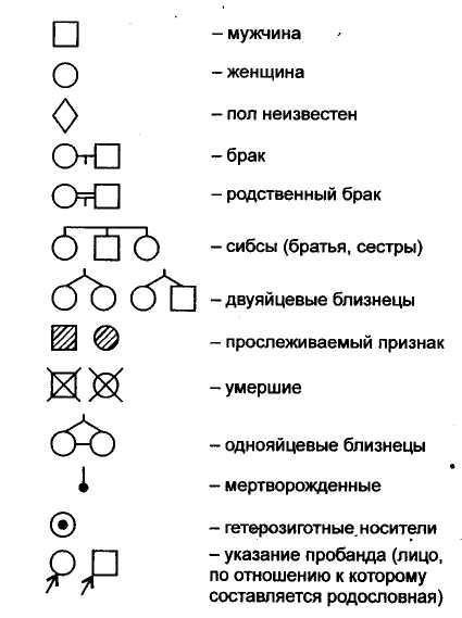 Примеры родословной