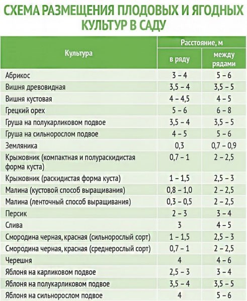 Значимость посадки зеленых насаждений в соответствии с нормативами