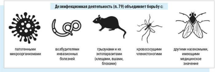 Как избавиться от насекомых в доме