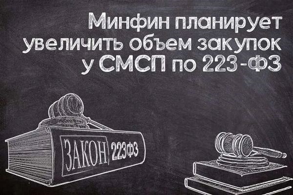 Что можно не публиковать по срокам плана закупок по 223-фз на 2025 год?