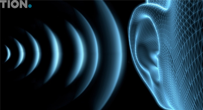 Что происходит со слухом при воздействии шума?